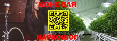 шишки Усть-Джегута